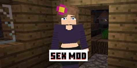 minecraft sex|minecraft